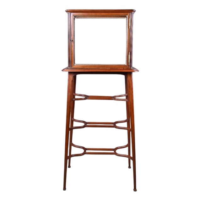 Art Nouveau Mahogany Display Case, 1900s For Sale