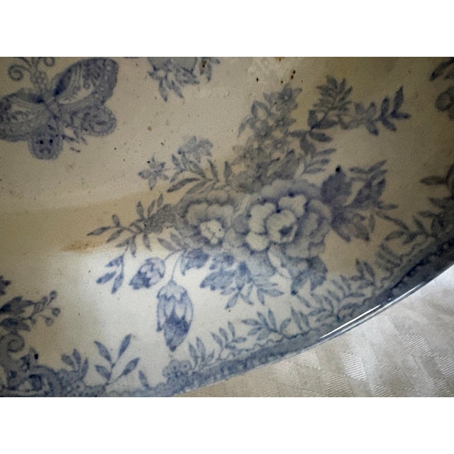 19th Century Asiatic Pheasant Platter For Sale - Image 11 of 17