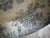 19th Century Asiatic Pheasant Platter For Sale - Image 11 of 17