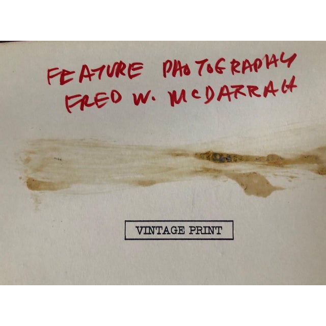 Fred McDarrah, Large Vintage Print Silver Gelatin Signed Photograph Terminal Patient Bird Cover, 1973 For Sale In Miami - Image 6 of 8