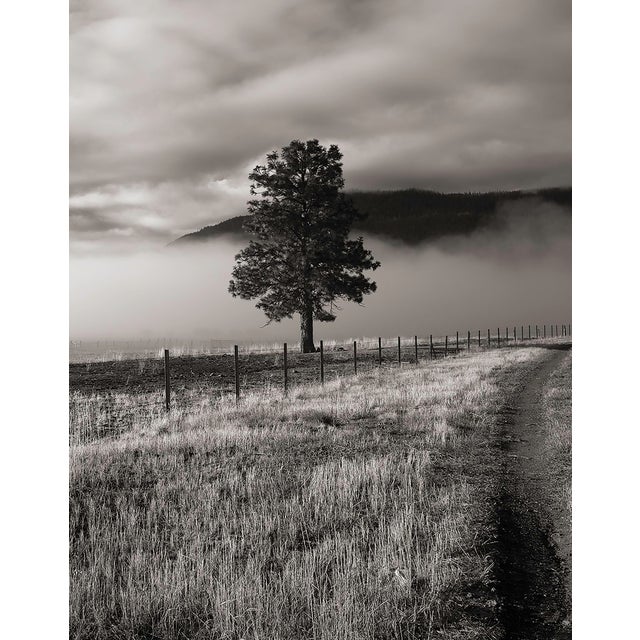 This digital archival print size is 18" x 12" printed on 19" x 13" Vibrance Matte Paper from Breathing Color in Austin,...