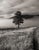 This digital archival print size is 18" x 12" printed on 19" x 13" Vibrance Matte Paper from Breathing Color in Austin,...