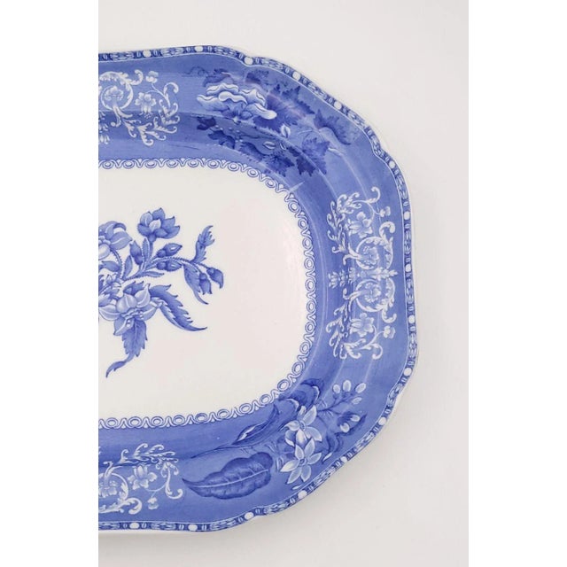 Spode "Camilla" Pattern Platter, England Circa 1920 For Sale - Image 4 of 6