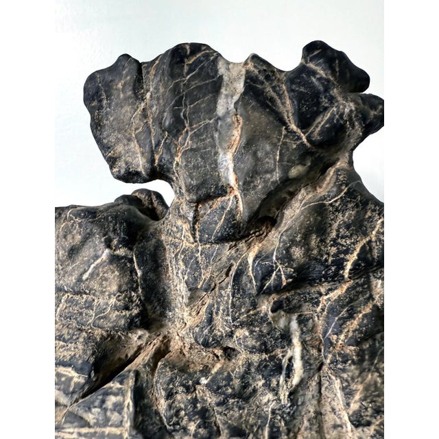 19th Century Large Chinese Horizontal Gray Lingbi Scholar Stone with Grotto on Display Stand For Sale - Image 10 of 12