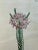 Illustration Purple Lachnaea Original Hand Colored Botanical Engraving by Curtis, 1802 For Sale - Image 3 of 3