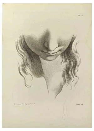 Jean François Poletnich, Portrait after Raphael, Etching, 1755