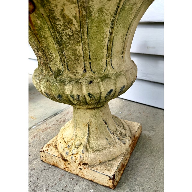 Pair 19th Century White Painted Cast Iron Garden Urns With Ring Handles and Masks For Sale - Image 9 of 17