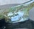 Late 20th Century Fine Bronze Sea Turtle Turtles Sculpture by Joseph Quillan Moonlight Carousel For Sale - Image 12 of 12