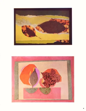 Josef Albers 1963 "Interaction of Color" Folder Xxv-1 Right Side "Autumn Leaves" Print