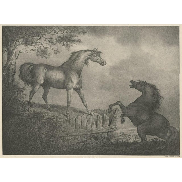 Horse Showing the Passion Courage, 1827, Paper For Sale - Image 3 of 5