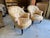 Antique French Tufted Crapaud Slipper Club Chairs With Casters - A Pair For Sale - Image 4 of 7