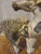 Artist Signed Susan Harvey "Medicine Horse" 1994 For Sale - Image 4 of 8