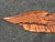 Artisan Late 19th C. Wood Carved Federal-Style American Eagle, Shield, and Banner For Sale - Image 4 of 7