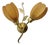 Scandinavian Wall Lamp with Leaf Decoration in Brass with Cocoon Shades, Denmark, 1950s For Sale