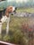 1950s 1950’s Original Large Dog Painting of Foxhound Baying Wood-Lined Field Signed Original Frame For Sale - Image 5 of 7