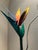 Contemporary Handcrafted Metal Floral Sculpture - Bird of Paradise & Anthurium in Brushed Steel Base - signed "K Johnson" For Sale - Image 4 of 9