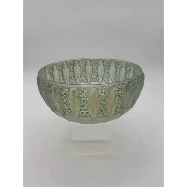 Perruche Bowl by R. Lalique, 1931 For Sale - Image 6 of 10