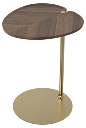 Leaf 1 Oval Side Table by Mathias De Ferm