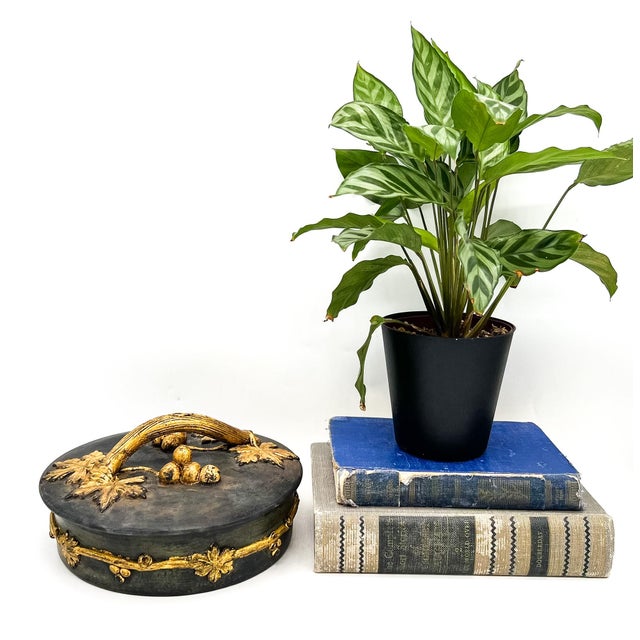 Beautiful vintage Italian ceramic lidded box featuring a sculptural grapevine handle with leaves and clustered fruit in...