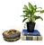 Beautiful vintage Italian ceramic lidded box featuring a sculptural grapevine handle with leaves and clustered fruit in...