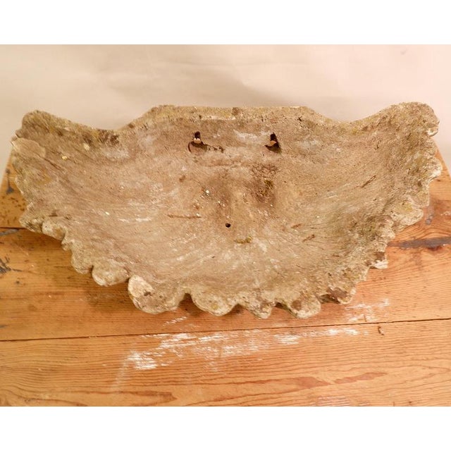 Antique Concrete Shell Bird Bath For Sale - Image 9 of 14