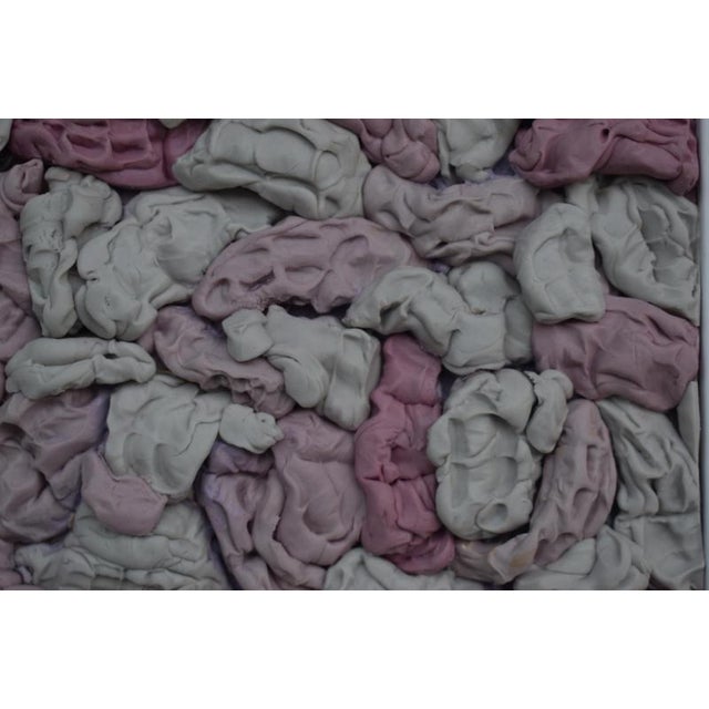 Early 21st Century Framed Wall Relief in Pink and Gray with Recast Gum Forms in Dental Silicone, 2010s For Sale - Image 5 of 9