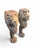 19th Century Greco-Roman Terracotta Lion Paw Pedestals, Set of 2 For Sale - Image 4 of 9