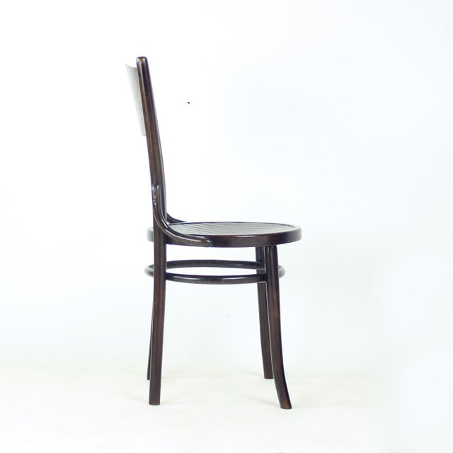 Bentwood Chair from Tatra, Former Czechoslovakia, 1940s For Sale - Image 4 of 16