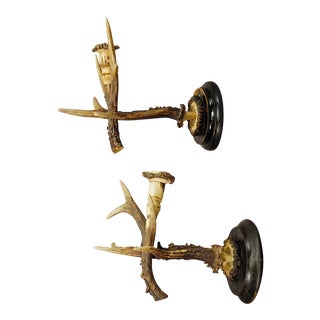 A Pair Black Forest Wall Sconces With Deer Horns, Germany Ca. 1900 For Sale