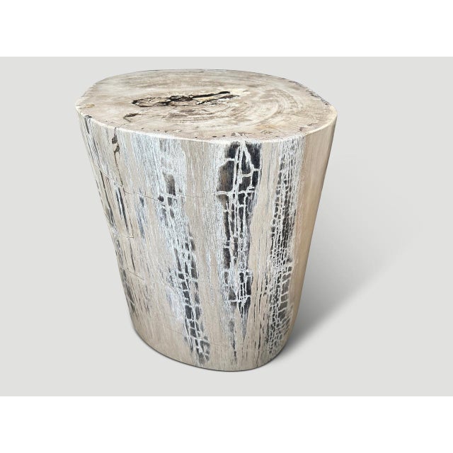 Beautiful textures and tones on this impressive high quality petrified wood ancient large side table or pedestal. It’s...