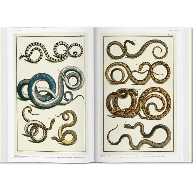 Paper Vintage Albertus Seba “Cabinet of Natural Curiosities” Coffee Table Book by Taschen For Sale - Image 7 of 9