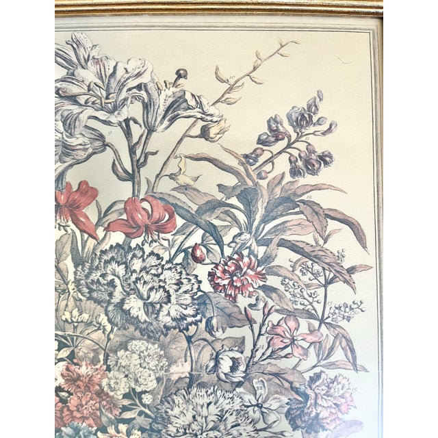 Robert Furber “12 Months of Flowers, July” Vintage Print, Gold Wood Frame For Sale - Image 4 of 10