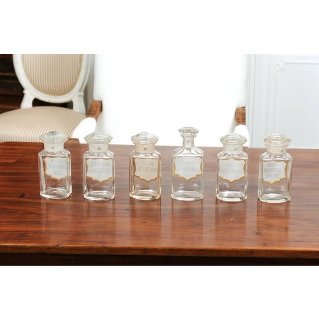 1840s French Louis-Philippe Period Glass Apothecary Jar with Latin Label For Sale - Image 10 of 12