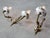 Mid-Century Italian Brass and Ceramic Sconces, Set of 2 For Sale - Image 9 of 13