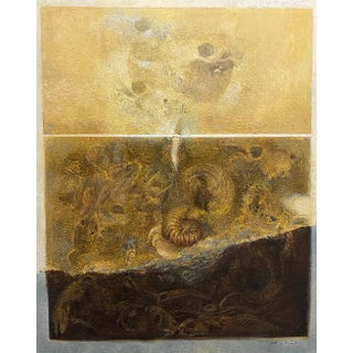 Giacomo Soffiantino, Fossils and Shells, 1960s, Oil on Canvas For Sale