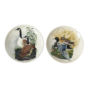 Vintage Hand Painted Italian Pottery Mallard Duck and Canadian Goose Plates. Set of 2