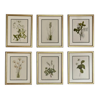 Framed Vintage Botanical Prints, Set of 6 -Authentic 1978 Prints For Sale