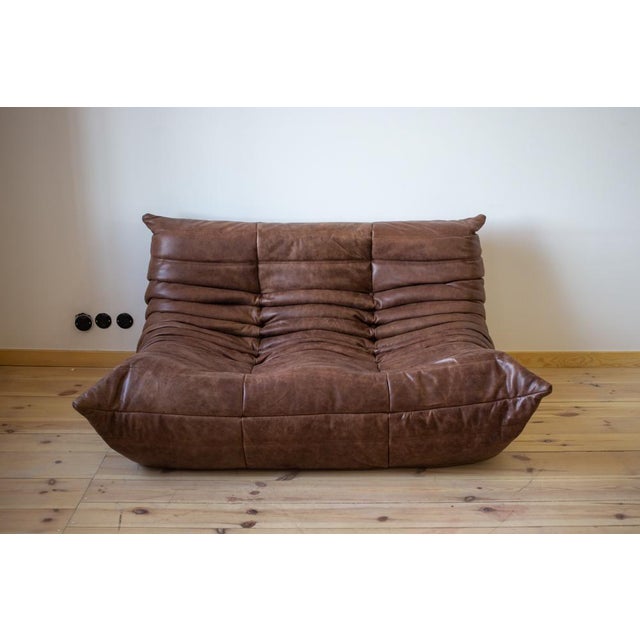 Animal Skin Brown Dubai Leather Togo Sofa, 1970s, Set of 5 For Sale - Image 7 of 9