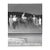 1965 Horse Race Winner's Circle Photograph For Sale