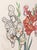 Salvador Dalí Salvador Dali "Gladiolus (Ears)" Etchings, 1972 For Sale - Image 4 of 12