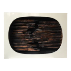 Hafis Bertschinger Charred Wood Shadowbox Sculpture