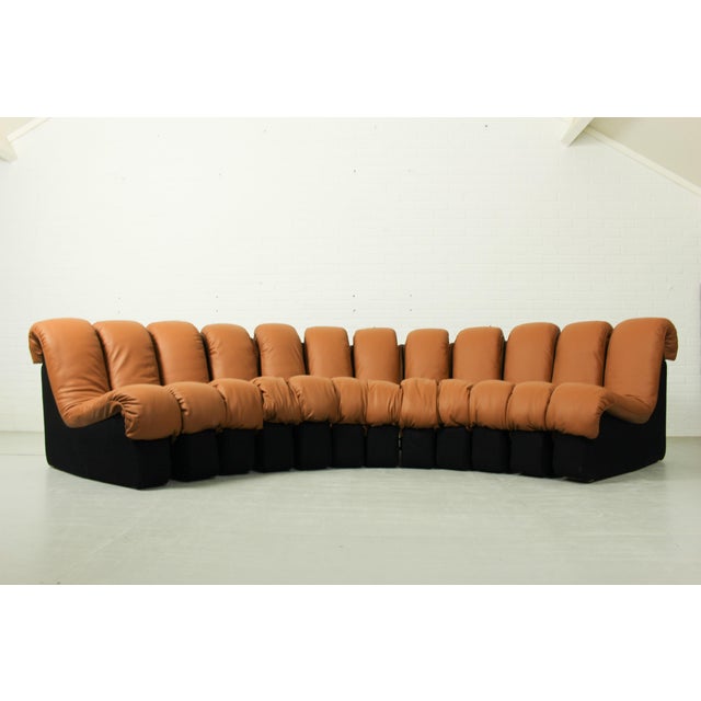 DS-600 Non Stop Sofa DS-600 by Eleonore Peduzzi Riva for de Sede, Switzerland, 1970s For Sale - Image 10 of 16