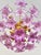 Purple 1980s Italian Style Hand-Painted Pink and Purple Murano Glass Floral Chandelier - 4-Light⁠ For Sale - Image 8 of 18