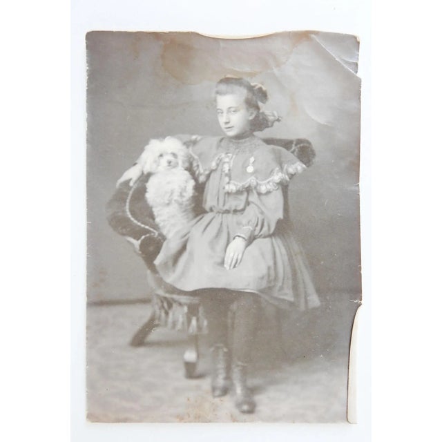 Antique circa 1890's photograph of young girl and her cute little white poodle who is sitting up and posing. Unframed,...