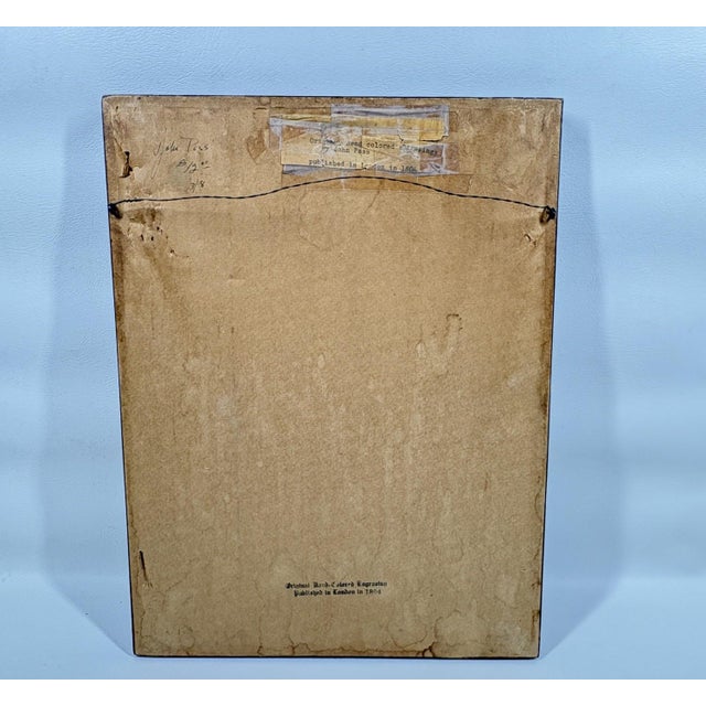 The Maimon, or Pig-Tailed Baboon - An Exceptional 18th-Century Natural History Engraving For Sale - Image 10 of 11