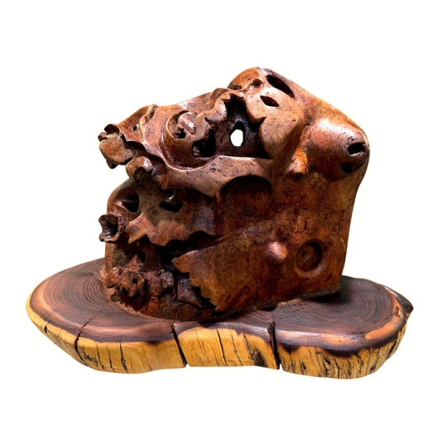 Coffee Vintage Burl Root Wood Abstract Sculpture Live Edge Base Organic Modern 17" For Sale - Image 8 of 15