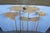 Wood Mid Century Modern Carved Teak Bird of Paradise & Leaf Botanical Arrangement 46" For Sale - Image 7 of 15