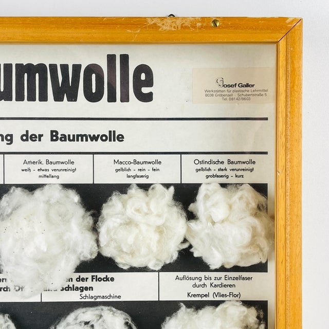 Mid-Century Modern Vintage School Education Display Die Baumwolle (Cotton) by Josef Galler, Germany, 1960s For Sale - Image 3 of 14