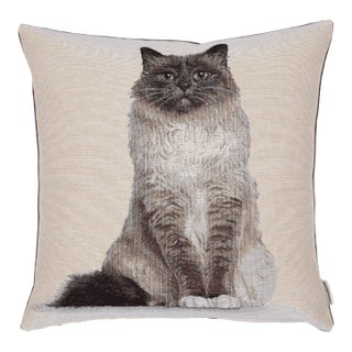 Fluffy Freya Woven Cushion With Feather Filler - 42x42cm (17"x17") For Sale