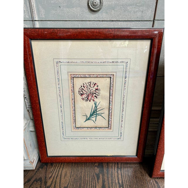 English Set of 4 Antique Botanical Engravings by Robert Sweet, Hand-Colored C. 1827-28 For Sale - Image 3 of 14